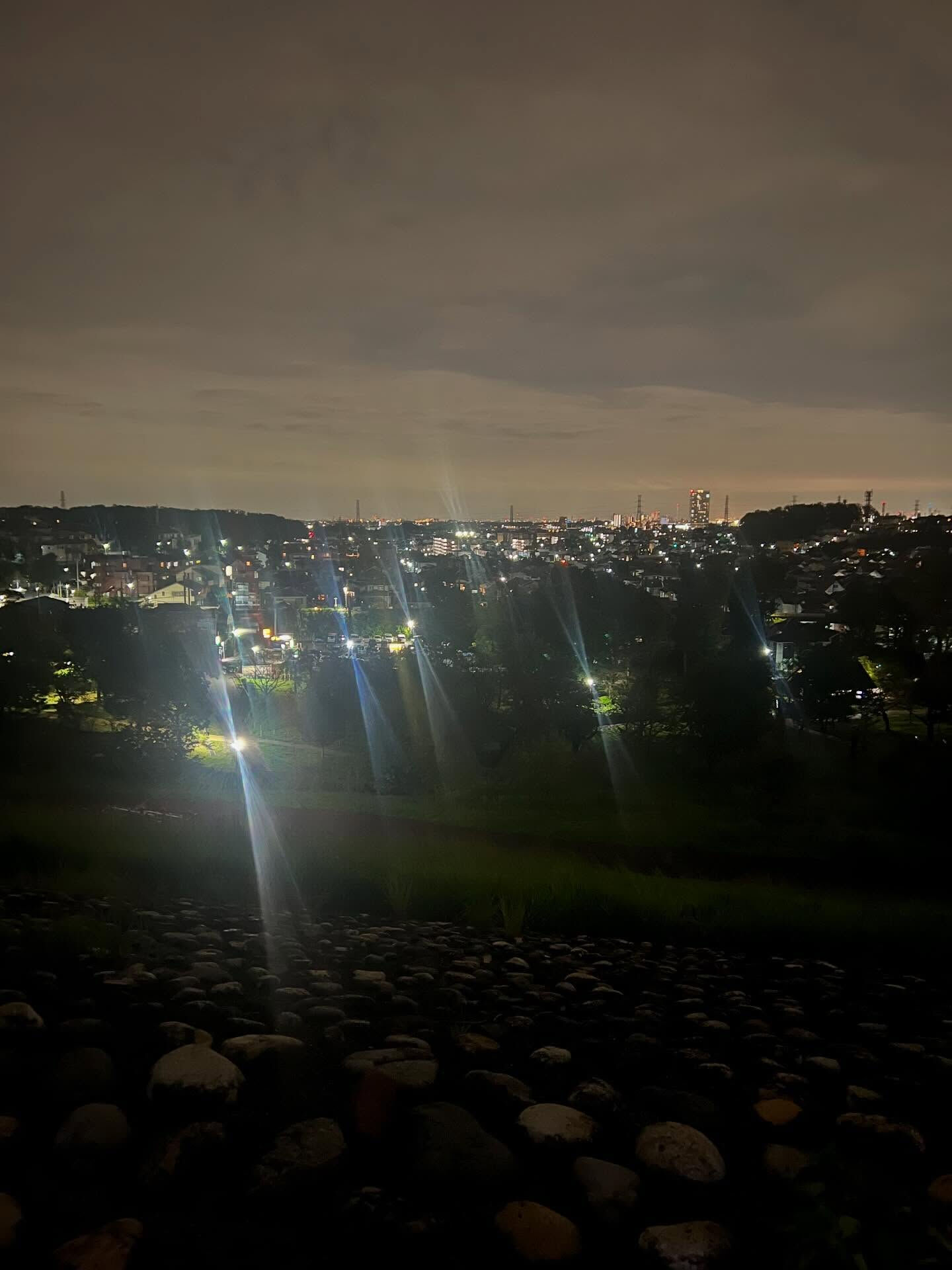 multi_image